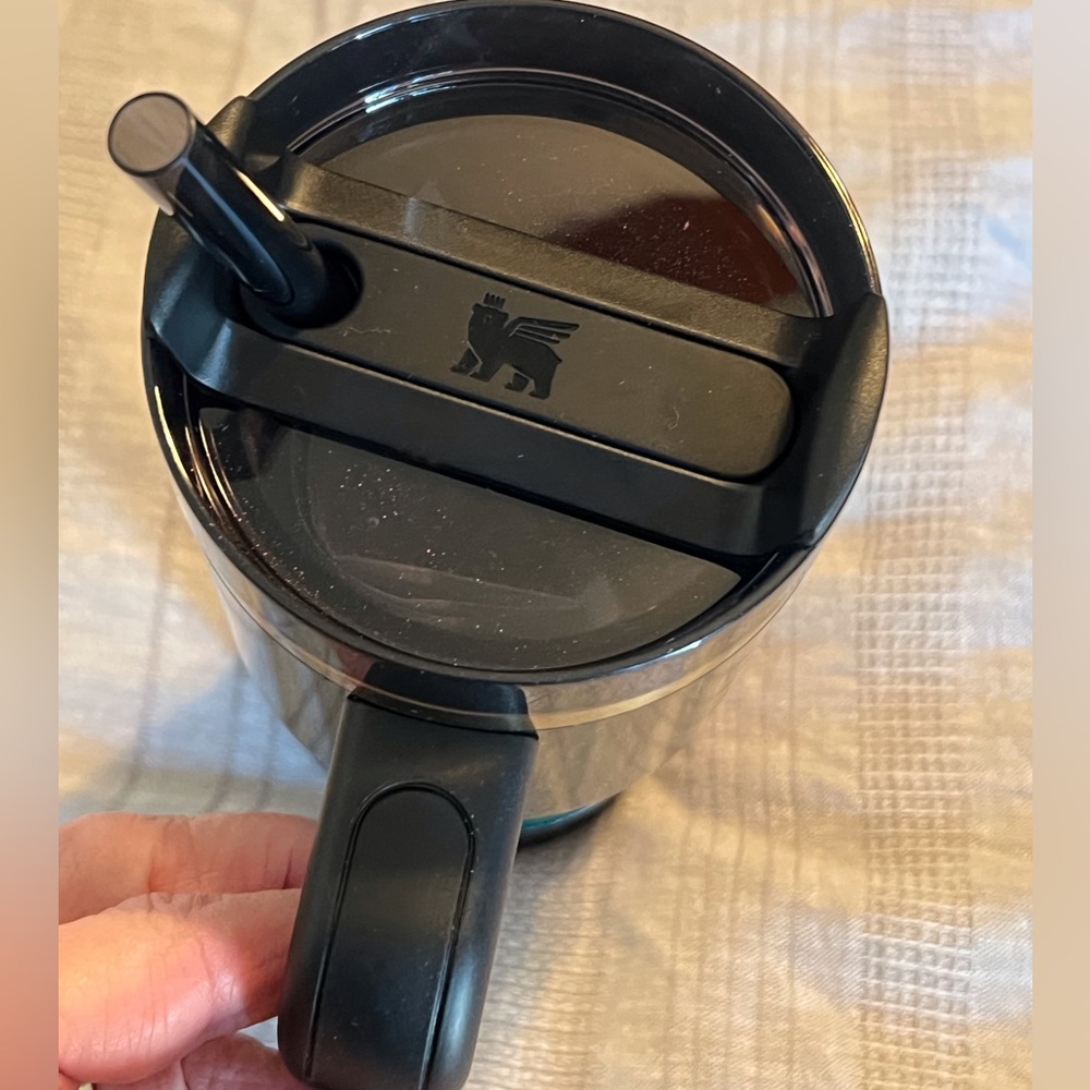 Stanley Elphaba for Good 20 oz Tumbler NWT - Picture 5 of 9